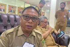 13,5 Hektare Sawah di PPU Mengalami Puso Akibat Kemarau