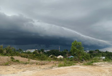 Ramalan Cuaca Kaltim dan IKN, 7 Maret 2026, Cek di Sini!