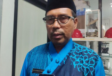 Kukar Genjot Hilirisasi Sawit, 186 Ribu Hektare Perkebunan Jadi Modal Besar Daerah