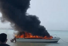 Motoris Speedboat Maratua Alami Luka Bakar Parah, 48 Persen Tubuh Terbakar 