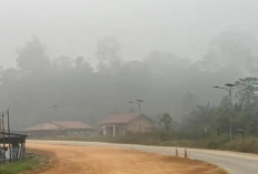 Ramalan Cuaca Kaltim dan IKN, 14 Oktober 2026, Cek di Sini!