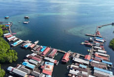 Pemkab Kutim Hentikan Pembangunan Liar di Kawasan Wisata Bahari Pulau Miang