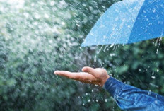 Ramalan Cuaca Kaltim dan IKN, Sabtu 21 Maret 2026: Sebagian Besar Wilayah Diperkirakan Hujan Ringan