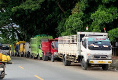 Antrean Solar di Balikpapan Mencapai 3 Hari, DPRD Desak Transparansi Kuota BBM Bersubsidi