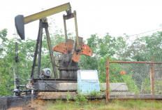 BUMDes Siap Kelola Sumur Tua Era Kolonial, Ada 17 Titik Potensi Belum Tergarap di Kutai Timur