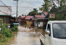 Sungai Mahakam Meluap, Permukiman dan Sekolah di Mahulu Terendam Banjir