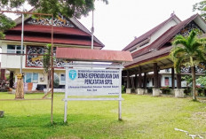 Baru 17 Persen Wajib KTP di Kubar Aktifkan IKD, Disdukcapil Ungkap Penyebabnya