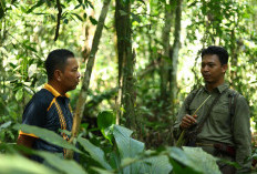 Polres Kutim Minta Masyarakat Ikut menjaga Kelestarian Satwa di TNK