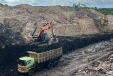 Kaltim Waswas Pemangkasan Produksi Batu Bara dalam RKAB 2026, Dinas ESDM: DBH Bisa Ikut Anjlok