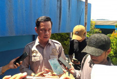 Kuota Afirmasi Banyak Kosong, DPRD Samarinda Soroti Sistem SPMB yang Dinilai Kaku