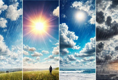 Ramalan Cuaca Kaltim dan IKN, 12 Januari 2026, Cek di Sini!