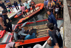 36 Jam Hilang di Laut Batu Putih, Nelayan Berau Ditemukan Selamat di Pinggir Hutan Bakau