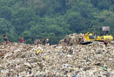 Kaltim Hasilkan Ratusan Ribu Ton Sampah Tiap Tahun, Baru 17 Persen yang Berhasil Diolah