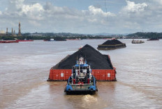 Terpukul Sektor Tambang, PAD Kaltim 2025 Tak Capai Target, Sekda: Hitung Ulang Strategi Fiskal