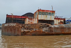 7 Saksi Sudah Diperiksa, Polisi Belum Pastikan Penyebab Kapal Tongkang Tabrak Tiang Jembatan Mahulu