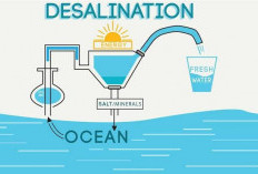 Air Laut Bisa Jadi Air Bersih, Industri di Balikpapan Sebut Desalinasi Masih Mahal Energi