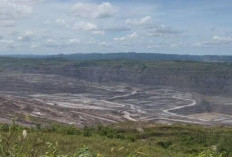 Kontribusi Tambang di Kutim Turun Tajam, Sektor Pertanian dan Industri Mulai Bangkit