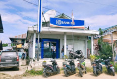 BRI Tegaskan Jadi Korban dalam Kasus Kredit Fiktif di Unit Talisayan Berau