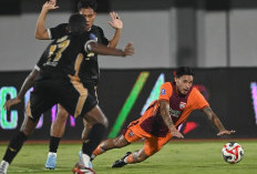 Takluk Dari  Dewa United, Pelatih Borneo FC Tetap Optimistis Sapu Bersih Sisa Laga