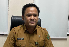 PHK Tambang Mulai Terjadi di Kaltim, 500 Pekerja Terancam 