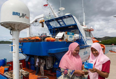 Miliki Satelit Sendiri, Layanan Perbankan BRI Kini Jangkau Plosok Negeri dan Wilayah 3T