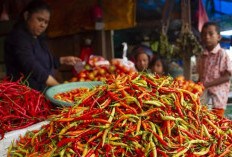 Inflasi Balikpapan Naik 0,75 Persen, Harga Cabai Melonjak karena Permintaan Tinggi Pasokan Kurang