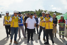 Tol IKN via Jembatan Pulau Balang Dibuka Gratis Selama Nataru