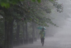 Hujan Lebat di Pakistan Tewaskan 7 Orang, Kebakaran Hutan di Prancis Paksa Evakuasi 220 Ribu Warga