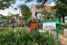 Pemkot Balikpapan Kembangkan Ruang Kreatif Terintegrasi dengan UMKM dan Pariwisata