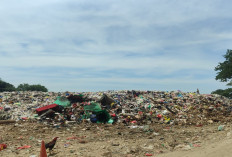 DLHK Kukar Apresiasi Masyarakat yang Sadar Bayar Retribusi Sampah, Lingkungan Bersih, PAD Bertambah 