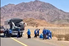 2 Bus Jamaah Calon Haji Kecelakaan di Madinah, 10 Jamaah Terluka dan Tak Ada Korban Jiwa 
