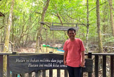 20 Tahun Agus Bei Menumbuhkan Mangrove di Graha Indah Balikpapan: Melawan Kerusakan dengan Konsistensi 