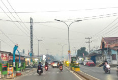 Partikel Kabut Asap Akibat Karhutla Makin Berbahaya, Penyebab Utama ISPA 