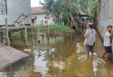 Wali Kota Samarinda Dalami 2 Titik Banjir, Rencana Penanganan Diperkuat Akhir Desember
