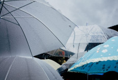 Ramalan Cuaca Kaltim dan IKN, 29 Januari 2026, Cek di Sini!