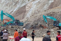 Kementerian ESDM Amankan Tumpukan Batu Bara di Kutai Kartanegara, Ditemukan di 5 Titik Lokasi