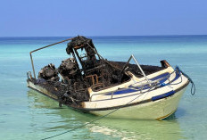 Speed Boat di Maratua Terbakar, Motoris Alami Luka Berat 