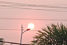 Kabut Asap Karhutla Makin Terasa di Balikpapan, 2 Penerbangan Sempat Delay