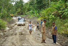 Perbaikan Jalan Pesisir Bontang Rampung, Progres Ruas Mahulu-Kubar Sudah 85 Persen