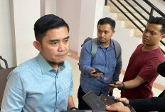 44 Ribu Hektare Hutan Kaltim Digunduli untuk Sawit dan Tambang, DPRD Desak Reforestasi