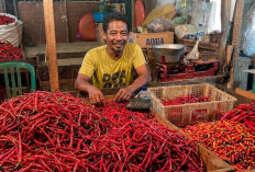 Harga Cabai Mendekati Rp 100 Ribu, Pemkot Samarinda Perkuat Pengawasan Pasar