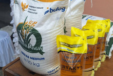 Bantuan Pangan untuk Masyarakat Paser Sasar 22.913 Keluarga Penerima Manfaat