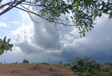 Ramalan Cuaca Kaltim dan IKN, 9 September 2026, Cek di Sini!