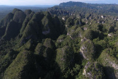 Geopark Sangkulirang-Mangkalihat Simpan Cadangan Karbon Strategis, Pemprov Kaltim Tunggu Hasil Verifikasi