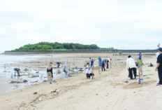 Ribuan Bibit Mangrove Ditanam di Pantai Seraya Balikpapan sebagai Benteng Abrasi
