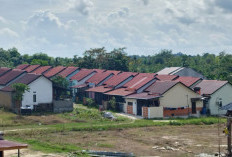 PPU Desak Program Perumahan Nasional yang Proporsional untuk Daerah