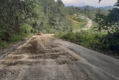 Jalur Berau - Kutai Timur Mulai Diperbaiki, Nilai Kontrak Mencapai Sekira Rp203 Miliar