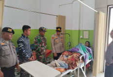 Tragis, Warga Kutim jadi Korban Serangan Buaya saat Mencari Ikan