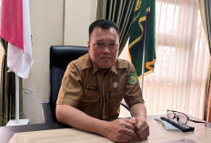 Lebih 1.000 Guru Honorer di Kutim Tak Terdata, BKPSDM: Tak Ada Laporan Saat Penerimaan