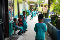 PPDB SD Negeri di Bontang Kekurangan Murid, Pemkot Sebut Penyebabnya karena Ini 